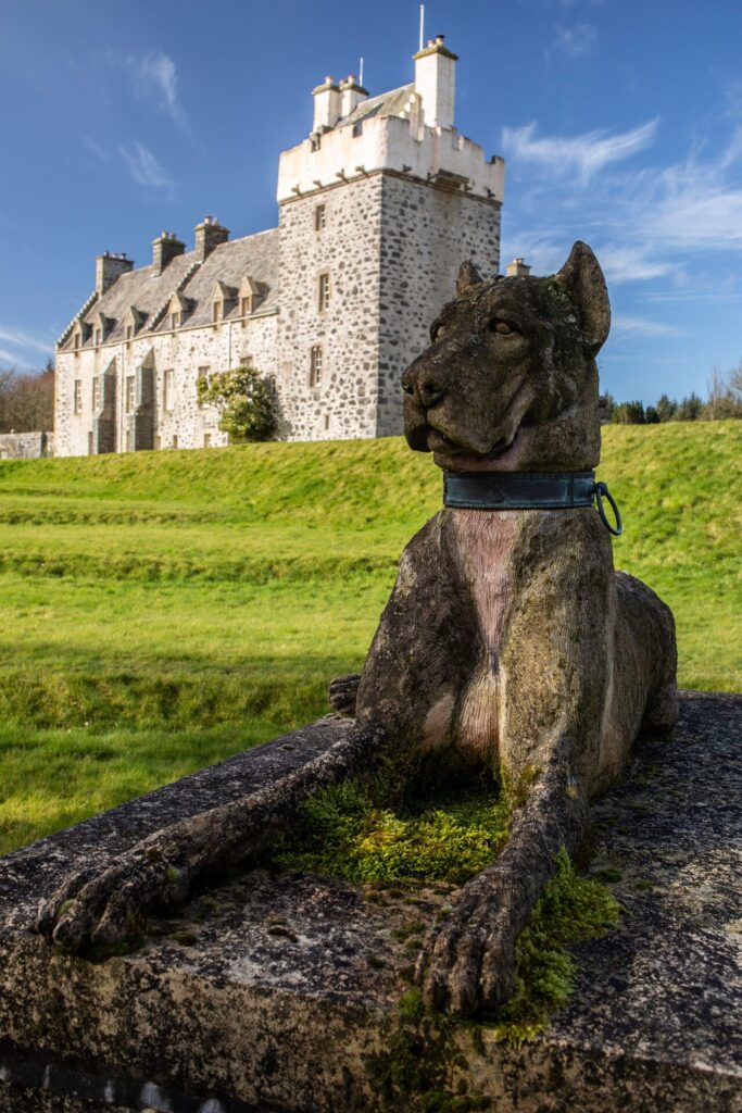 Stone Kingsale hounds dog statue with mossy weathering in the foreground, castle with towers and stone walls in the background on a sunny day.
