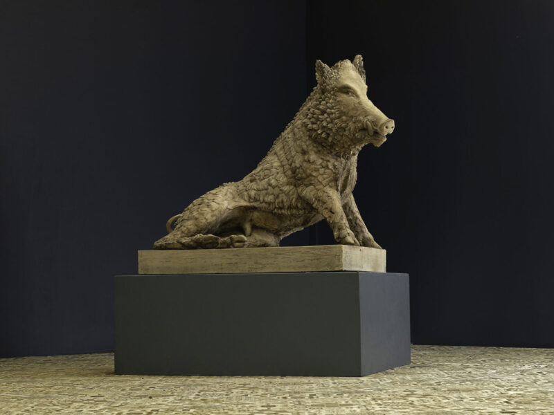 Stone uffizi boar sculpture seated on a pedestal in a dim gallery with a dark wall backdrop.